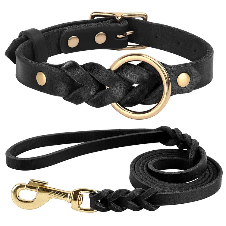 kits de paseo