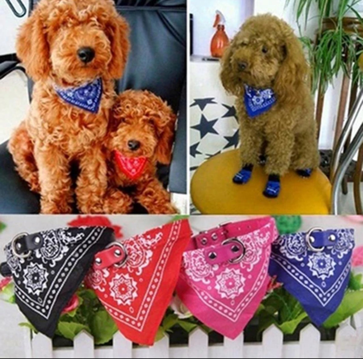 Bandanas