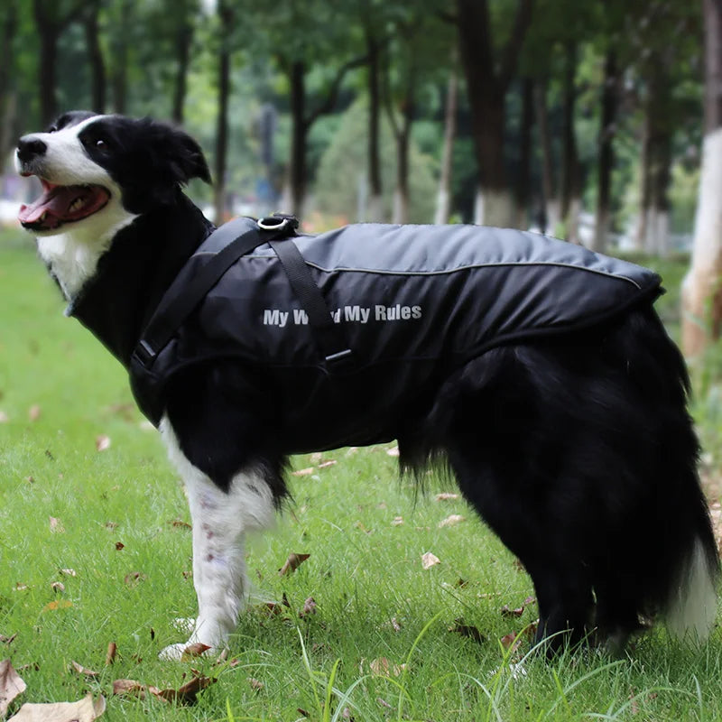 Abrigo impermeable