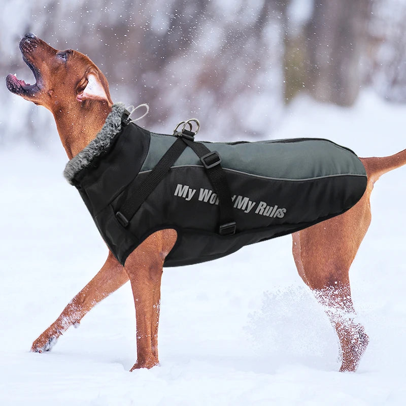 Abrigo impermeable