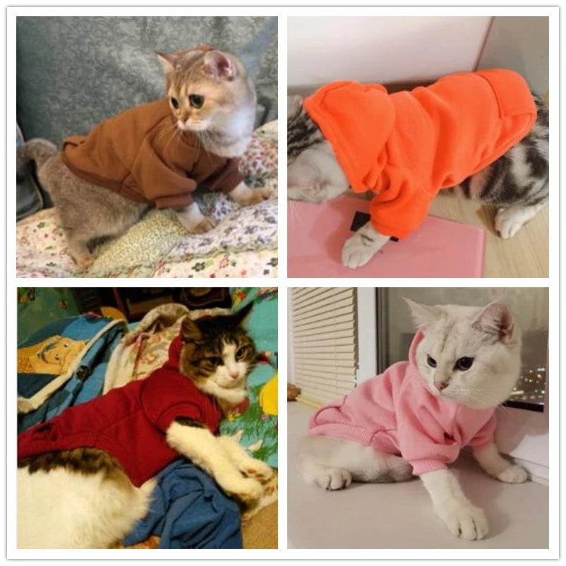 Abrigo sudadera