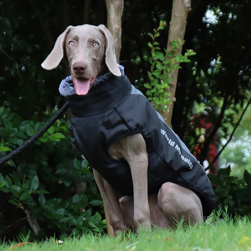 Abrigo impermeable