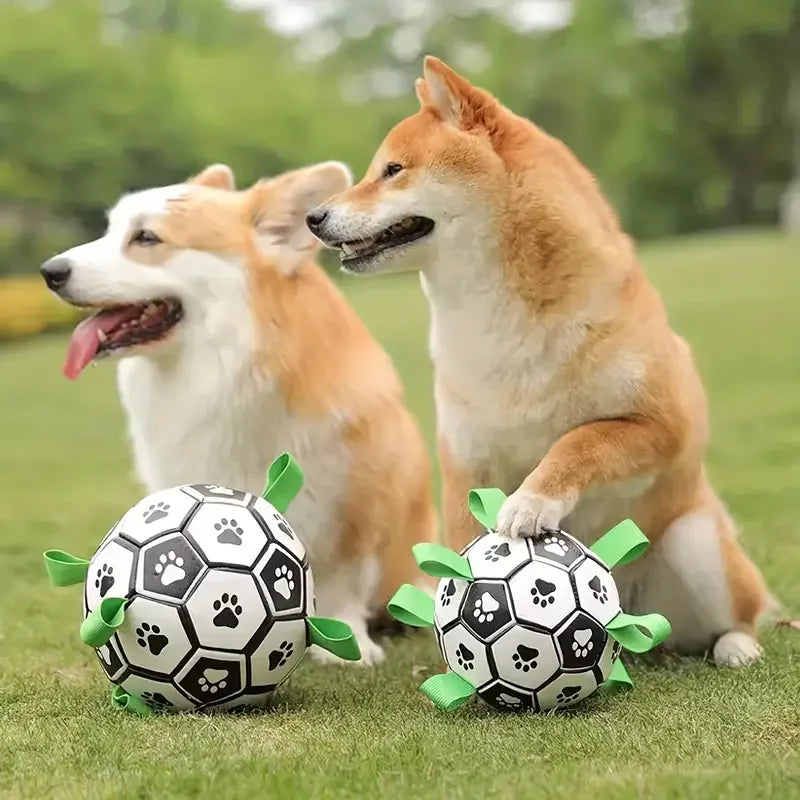 Pelota fútbol