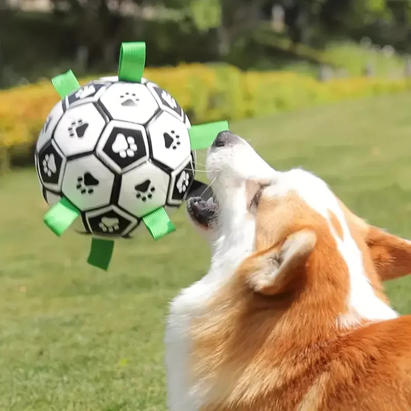 Pelota fútbol