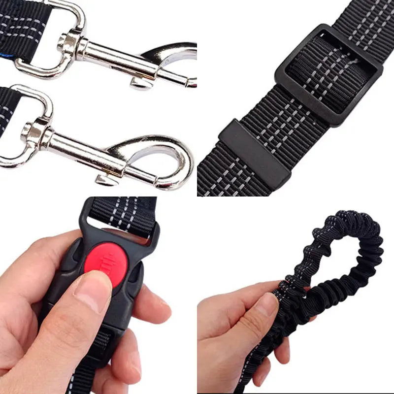 Correa de perro ajustable