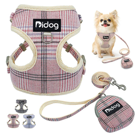 Kit de paseo. Arnés más correa incluida