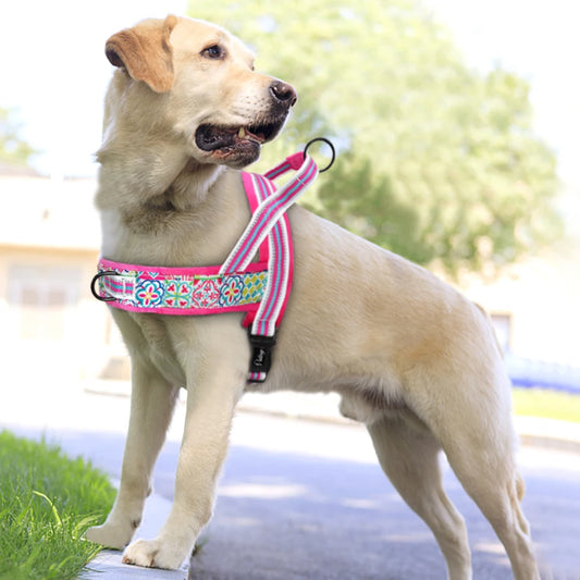 Arnés de perro grande