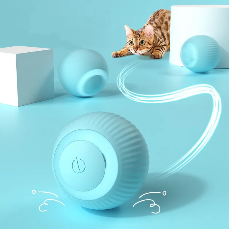 Juguete para tú gato. Bola electrica interáctiva para gatos. juega en el interior donde tú mascota y tú  lo pasaréis a lo grande haciendo ejercicio.